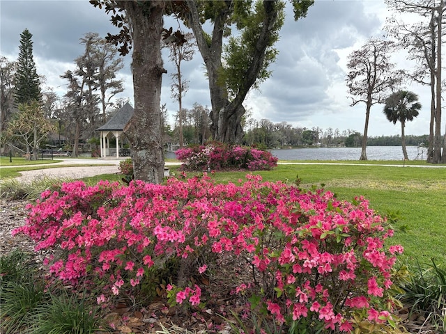919 Ballinger Rd, Lutz, FL 33548 - view of property's community with a water view and a yard