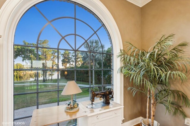 919 Ballinger Rd, Lutz, FL 33548 - office featuring a water view and baseboards