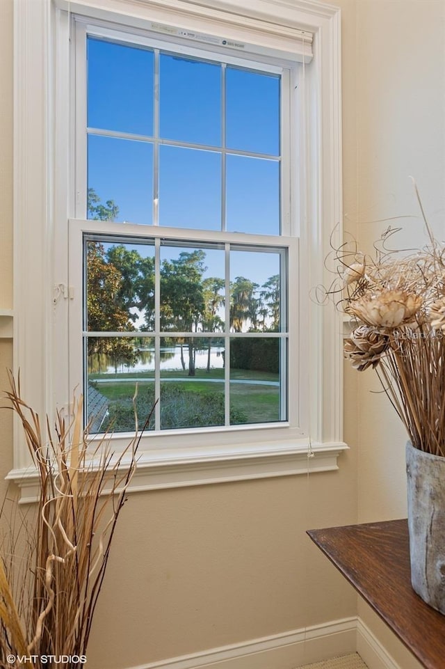 919 Ballinger Rd, Lutz, FL 33548 - detailed view of baseboards