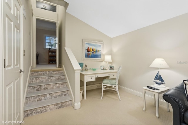 919 Ballinger Rd, Lutz, FL 33548 - office space featuring light carpet and lofted ceiling