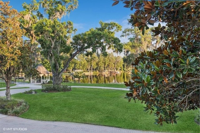 919 Ballinger Rd, Lutz, FL 33548 - view of community with a yard and a water view