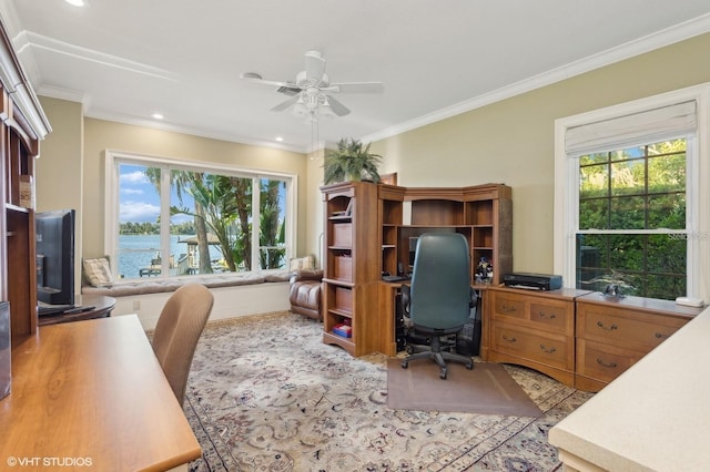 919 Ballinger Rd, Lutz, FL 33548 - office space with ceiling fan, plenty of natural light, crown molding, recessed lighting, and wood finished floors