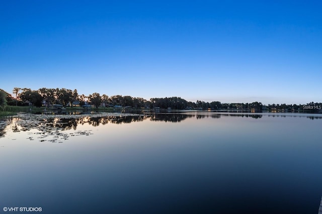 919 Ballinger Rd, Lutz, FL 33548 - water view