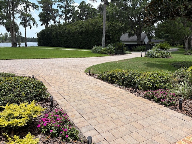 919 Ballinger Rd, Lutz, FL 33548 - view of home's community with a water view and a yard