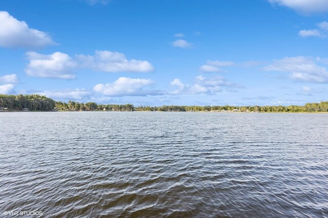 919 Ballinger Rd, Lutz, FL 33548 - water view