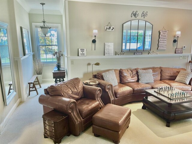 919 Ballinger Rd, Lutz, FL 33548 - living room with ornamental molding and carpet flooring