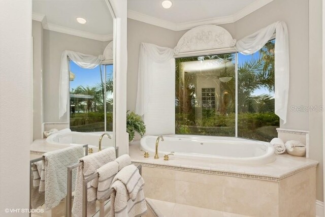919 Ballinger Rd, Lutz, FL 33548 - bathroom featuring a garden tub and ornamental molding