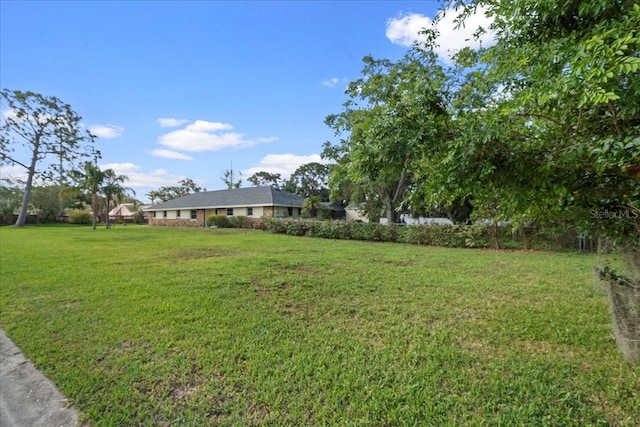 903 Tomahawk Trl, Brandon, FL 33511 - view of green lawn