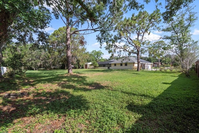 903 Tomahawk Trl, Brandon, FL 33511 - view of green lawn