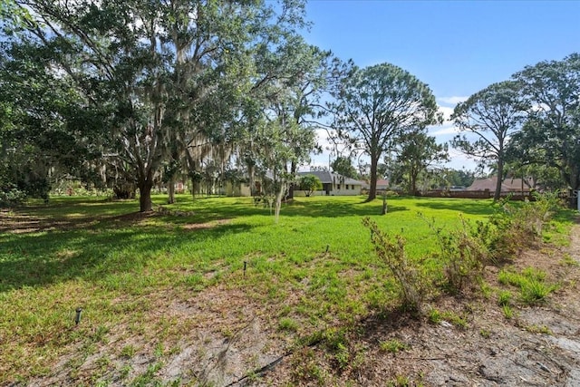 903 Tomahawk Trl, Brandon, FL 33511 - view of green lawn