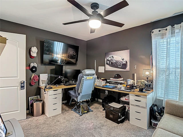 3891 Reflection Dock Dr, Seffner, FL 33584 - carpeted office with a ceiling fan