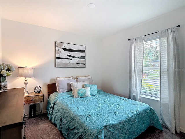 3891 Reflection Dock Dr, Seffner, FL 33584 - bedroom featuring carpet floors and baseboards