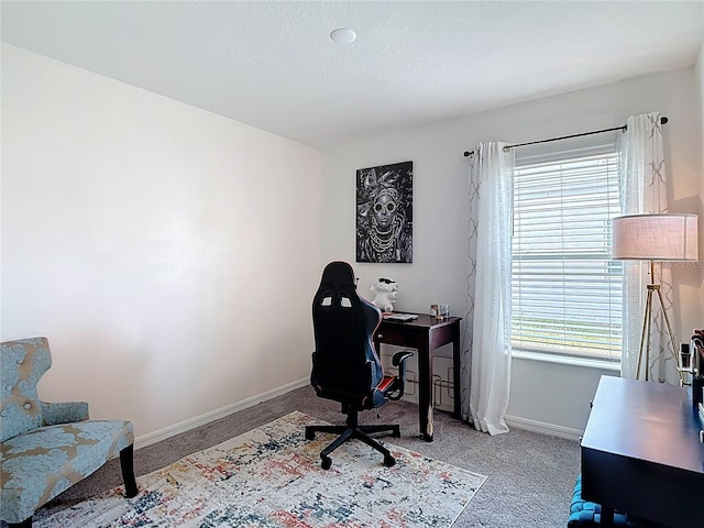 3891 Reflection Dock Dr, Seffner, FL 33584 - office space with baseboards and carpet floors