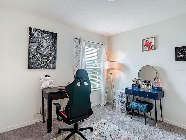 3891 Reflection Dock Dr, Seffner, FL 33584 - carpeted office space featuring baseboards and a textured ceiling