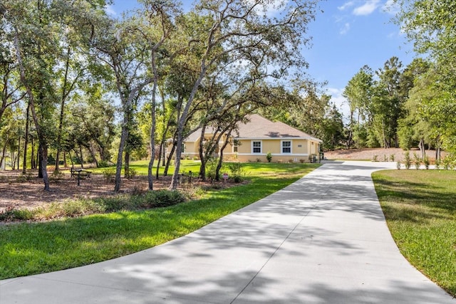 view of community featuring concrete driveway and a yard