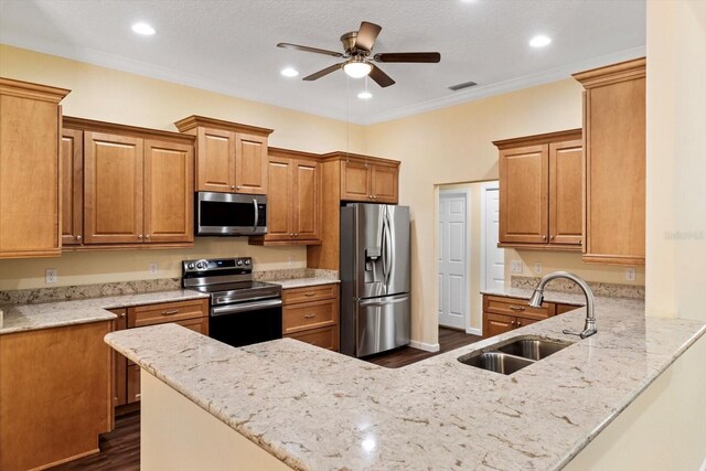 kitchen featuring appliances with stainless steel finishes, a sink, a peninsula, dark wood-type flooring, and a ceiling fan