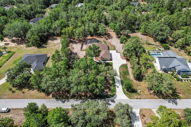drone / aerial view
