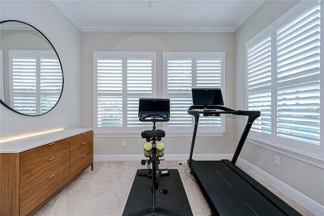 5728 Watercolor Dr, Lithia, FL 33547 - workout area featuring plenty of natural light, light colored carpet, crown molding, and baseboards