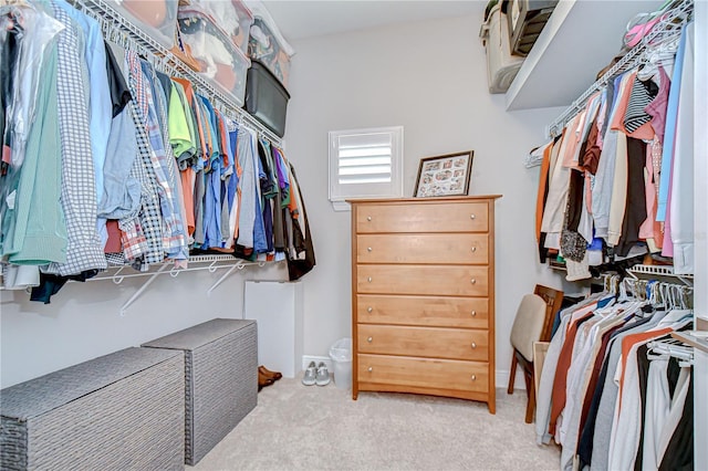 5728 Watercolor Dr, Lithia, FL 33547 - spacious closet featuring carpet flooring