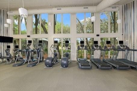 5728 Watercolor Dr, Lithia, FL 33547 - exercise room with a towering ceiling and carpet floors