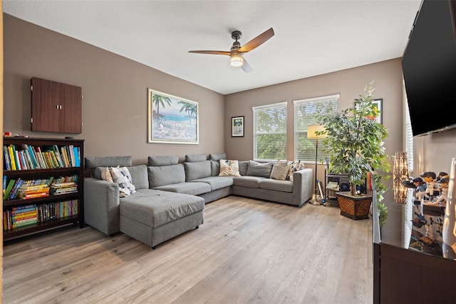 1436 30th Ave N, Saint Petersburg, FL 33704 - living room featuring ceiling fan and light wood-style flooring