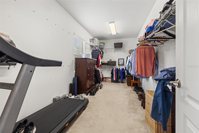1436 30th Ave N, Saint Petersburg, FL 33704 - walk in closet featuring carpet flooring