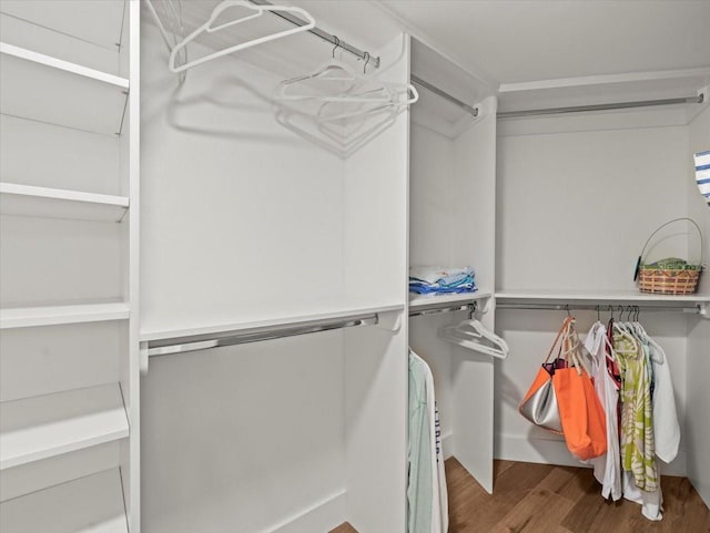 5700 Escondida Blvd S Unit 401, Saint Petersburg, FL 33715 - spacious closet with wood finished floors