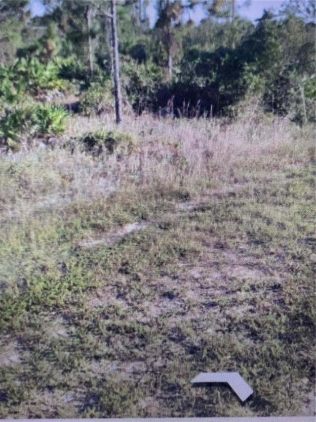 6871 Fort Myers Dr, Indian Lake Estates, FL 33855 - photo 4