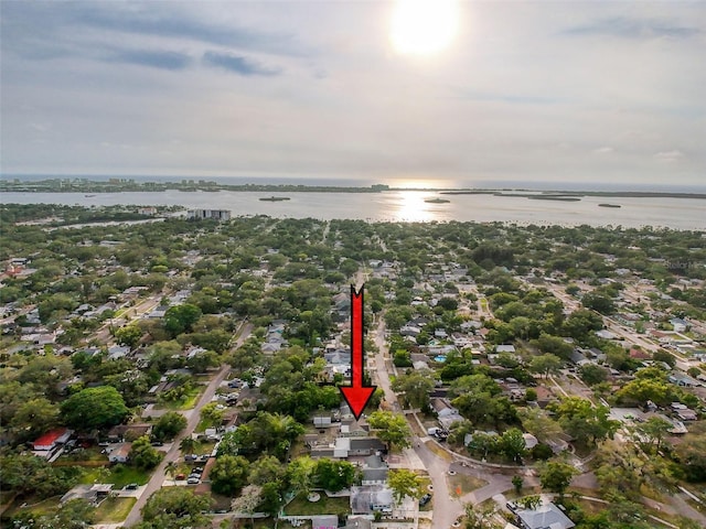 1267 Woodlawn Ter, Clearwater, FL 33755 - photo 4