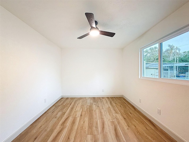 1267 Woodlawn Ter, Clearwater, FL 33755 - photo 44