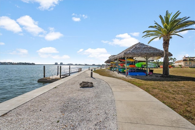 4900 Brittany Dr S Unit 209, Saint Petersburg, FL 33715 - dock area with a water view and a yard