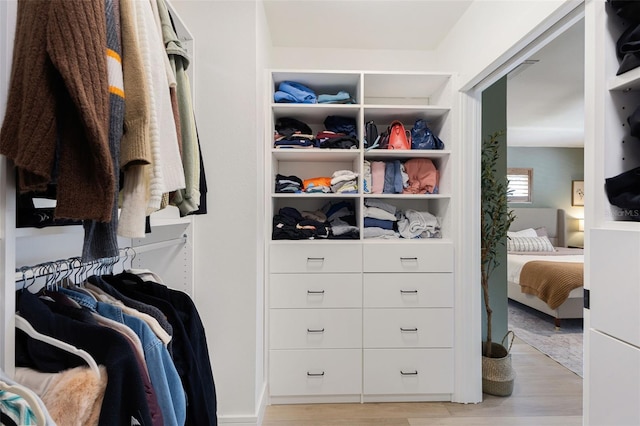 4618 Bayshore Blvd NE, Saint Petersburg, FL 33703 - spacious closet with light wood-type flooring