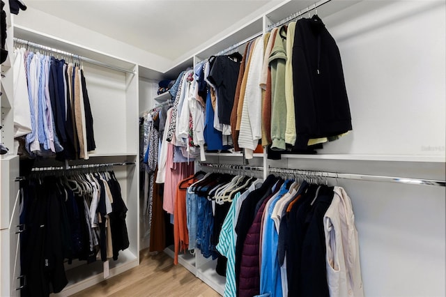 4618 Bayshore Blvd NE, Saint Petersburg, FL 33703 - spacious closet with wood finished floors