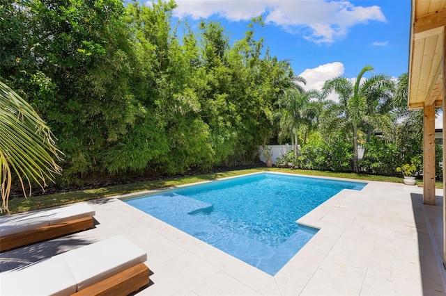 4618 Bayshore Blvd NE, Saint Petersburg, FL 33703 - view of pool with a patio area and a fenced backyard