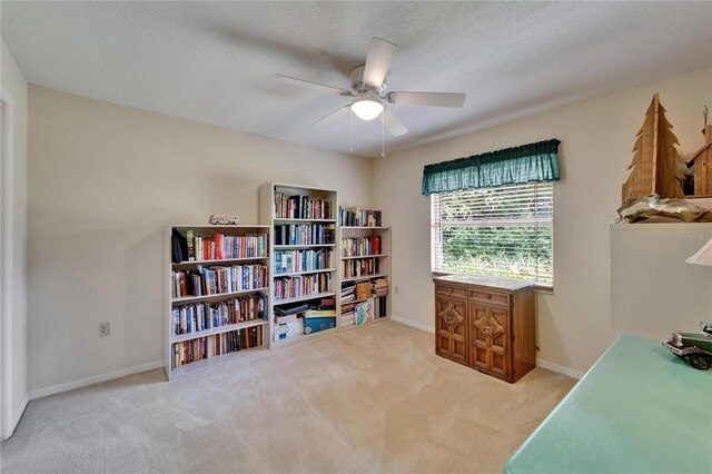 2811 Barret Ave, Plant City, FL 33566 - photo 46