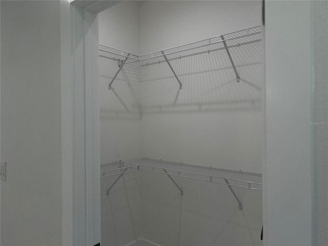4241 E Palifox St, Tampa, FL 33610 - view of spacious closet