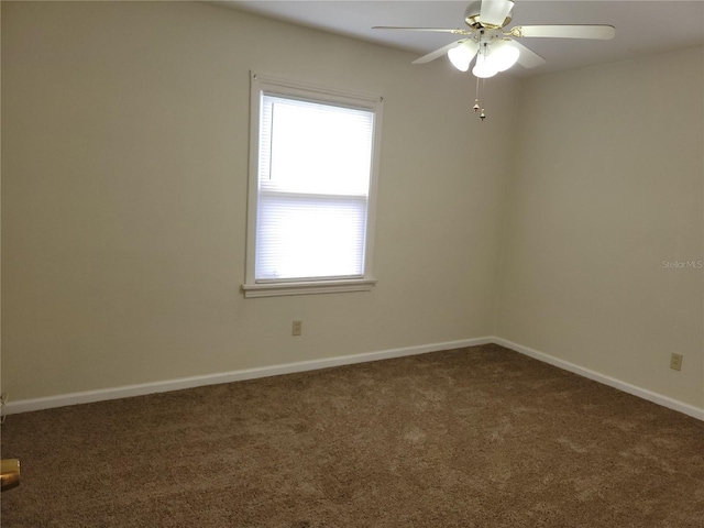 2701 47th Ave N, Saint Petersburg, FL 33714 - photo 15