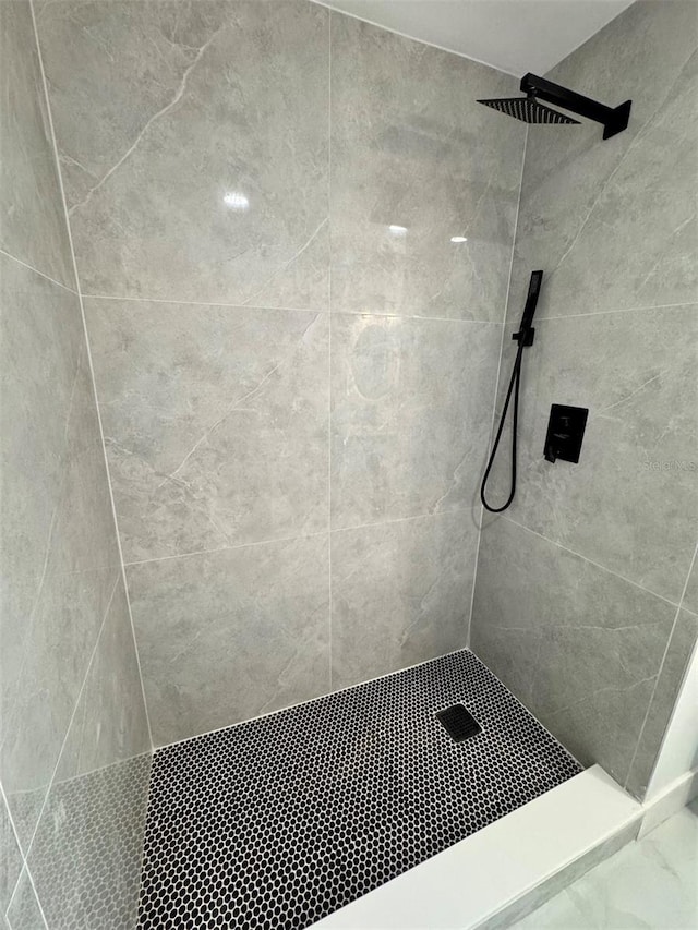 1778 New Hampshire Ave NE, Saint Petersburg, FL 33703 - bathroom with a tile shower