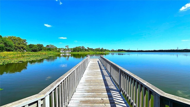 3907 Orchard Hill Cir, Palm Harbor, FL 34684 - dock with a water view