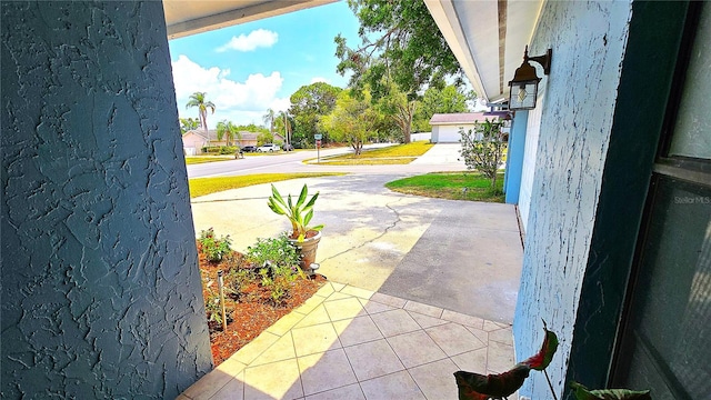 3907 Orchard Hill Cir, Palm Harbor, FL 34684 - view of yard