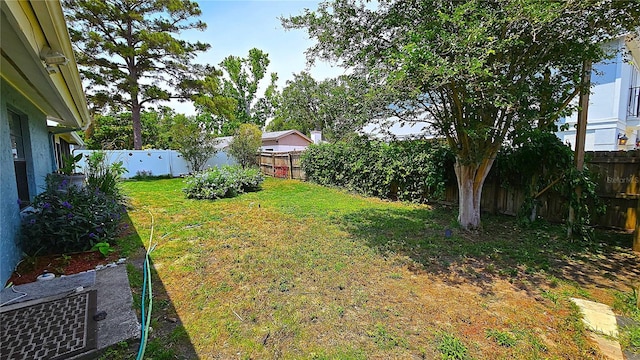 3907 Orchard Hill Cir, Palm Harbor, FL 34684 - view of yard