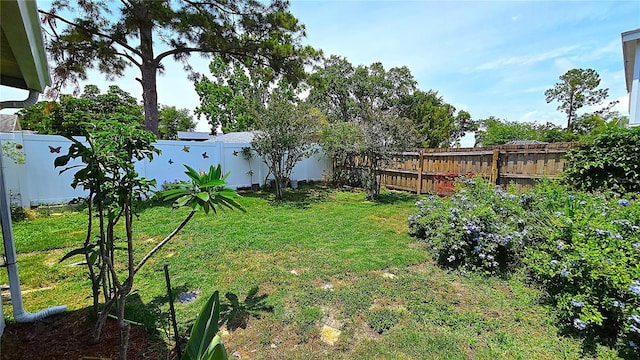 3907 Orchard Hill Cir, Palm Harbor, FL 34684 - view of yard
