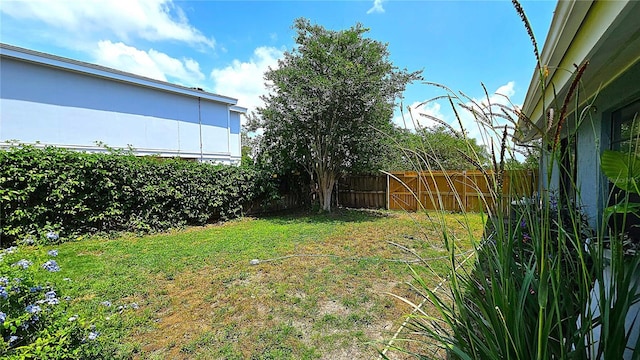 3907 Orchard Hill Cir, Palm Harbor, FL 34684 - view of yard