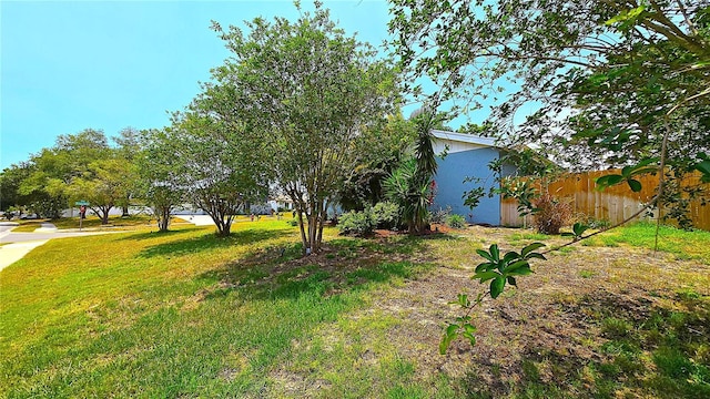 3907 Orchard Hill Cir, Palm Harbor, FL 34684 - view of grassy yard