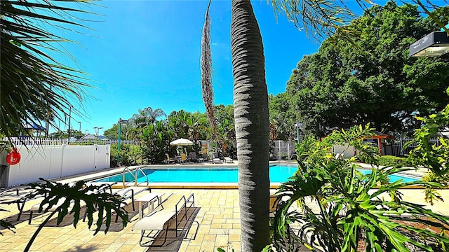 3907 Orchard Hill Cir, Palm Harbor, FL 34684 - community pool with fence and a patio