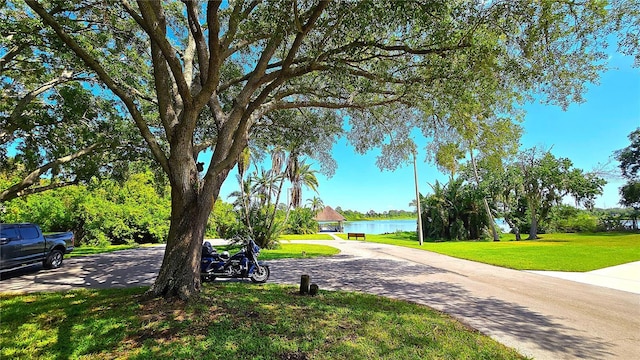 3907 Orchard Hill Cir, Palm Harbor, FL 34684 - view of community featuring a lawn and a water view
