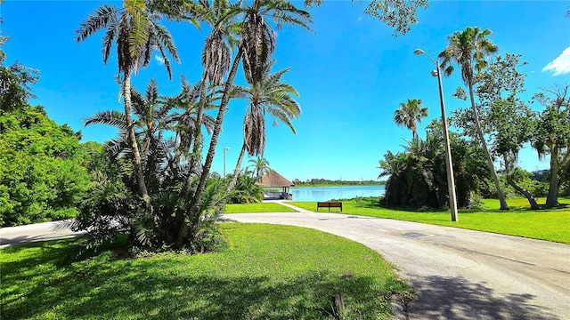 3907 Orchard Hill Cir, Palm Harbor, FL 34684 - view of property's community with a water view, a lawn, and curved driveway