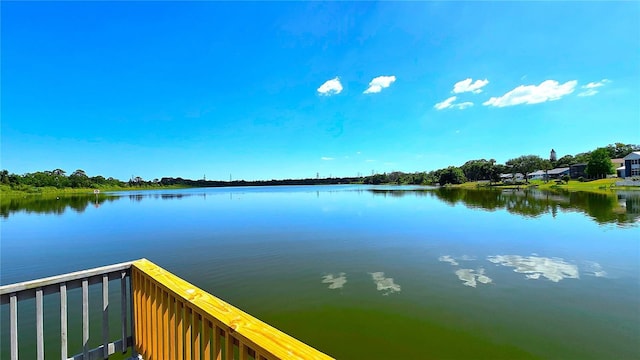 3907 Orchard Hill Cir, Palm Harbor, FL 34684 - water view