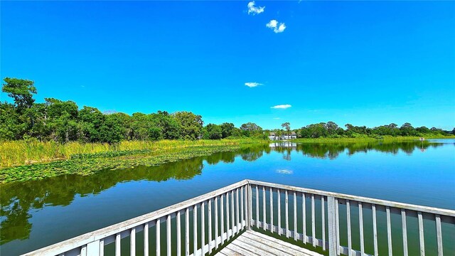 3907 Orchard Hill Cir, Palm Harbor, FL 34684 - water view