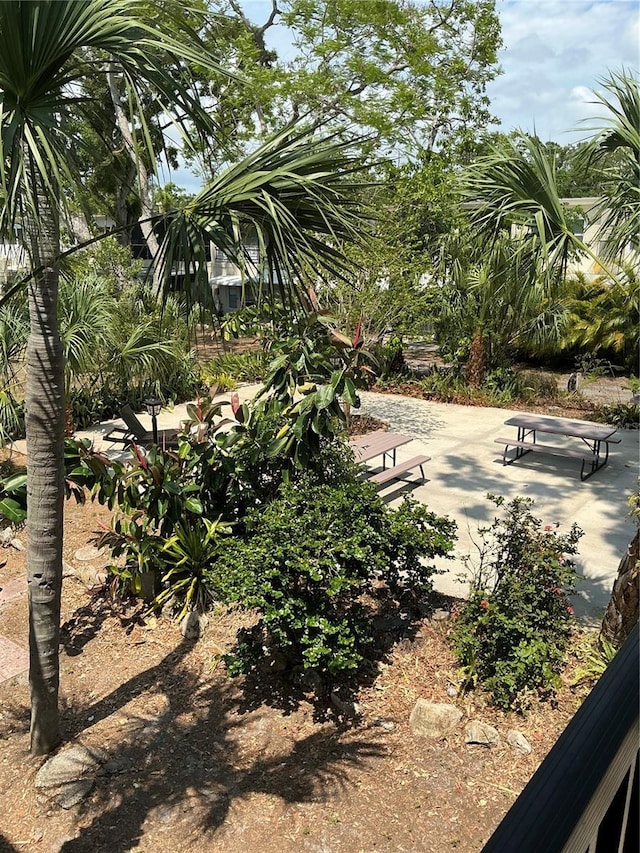 view of yard with a patio